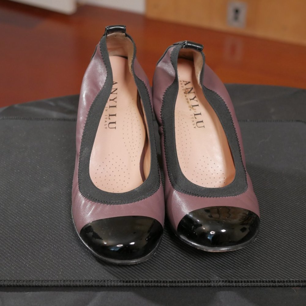 Anyi Lu Jordan Pumps